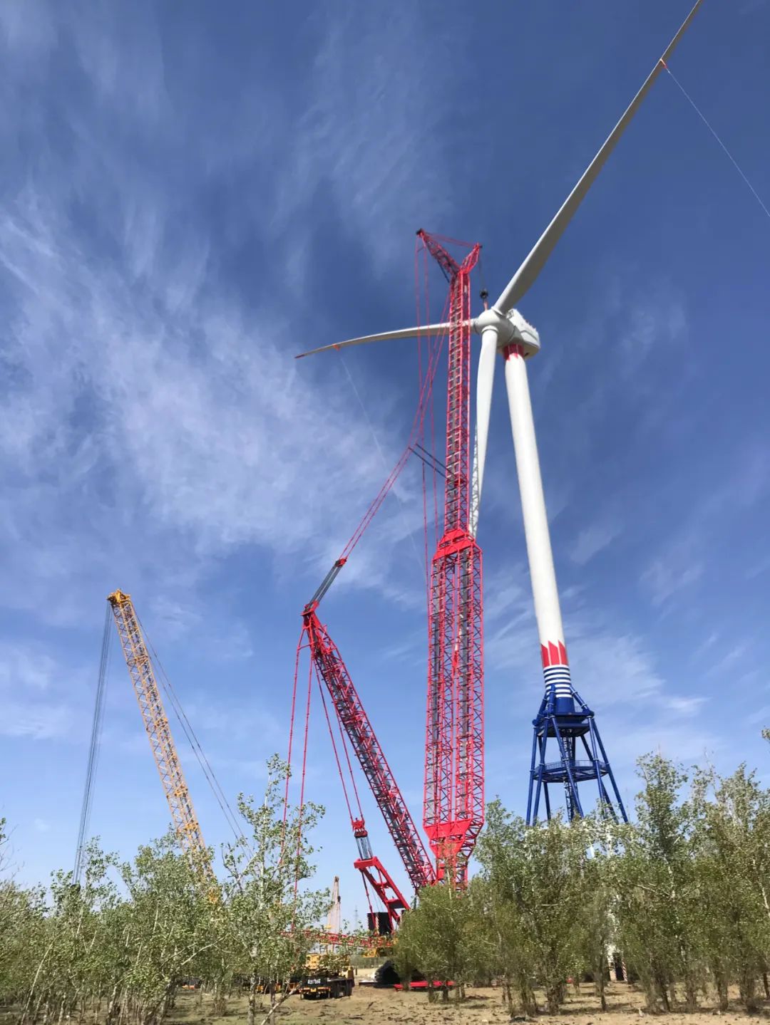 新葡的京集团8814(股份)有限公司官网